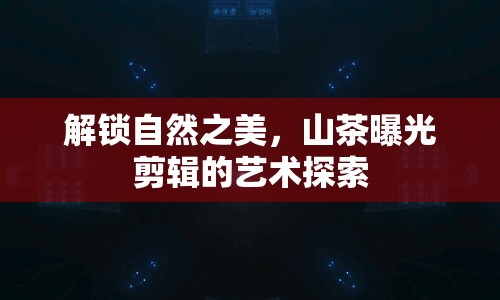 解鎖自然之美，山茶曝光剪輯的藝術(shù)探索