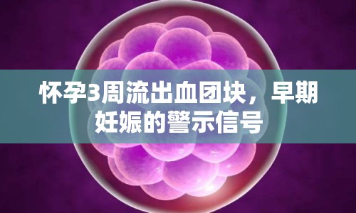 懷孕3周流出血團(tuán)塊，早期妊娠的警示信號(hào)