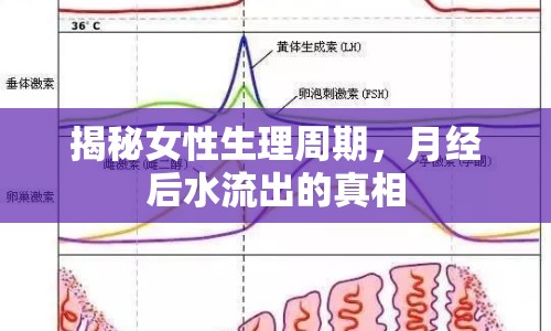揭秘女性生理周期，月經(jīng)后水流出的真相