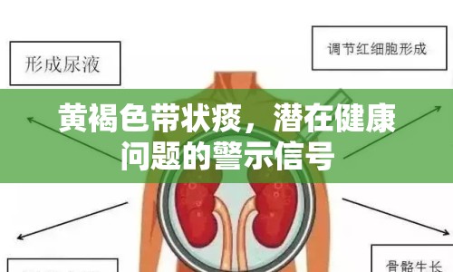 黃褐色帶狀痰，潛在健康問題的警示信號