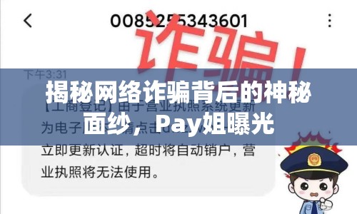 揭秘網(wǎng)絡詐騙背后的神秘面紗，Pay姐曝光