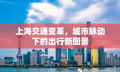 上海交通變革，城市脈動下的出行新圖景