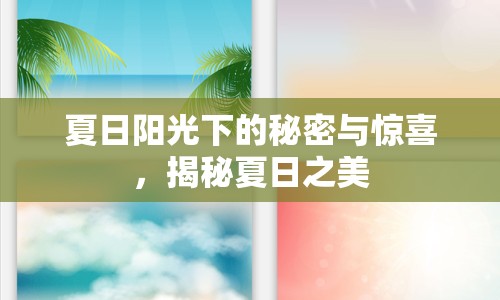 夏日陽光下的秘密與驚喜，揭秘夏日之美