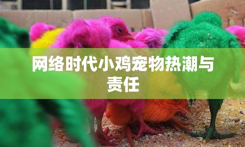 網(wǎng)絡(luò)時代小雞寵物熱潮與責(zé)任