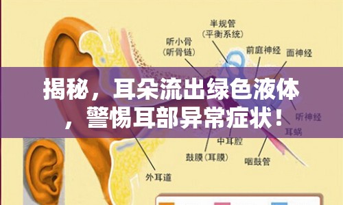 揭秘，耳朵流出綠色液體，警惕耳部異常癥狀！
