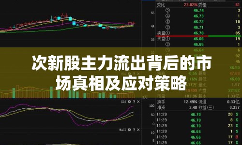 次新股主力流出背后的市場(chǎng)真相及應(yīng)對(duì)策略