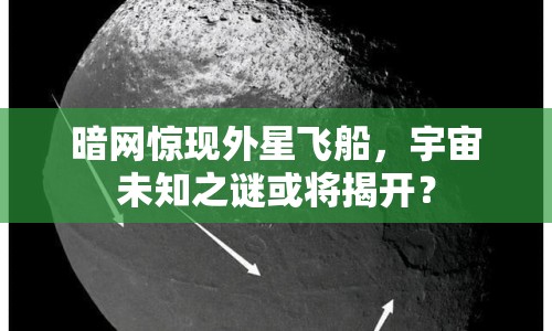 暗網(wǎng)驚現(xiàn)外星飛船，宇宙未知之謎或?qū)⒔议_？