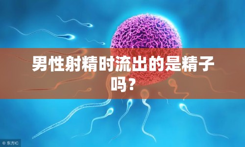 男性射精時(shí)流出的是精子嗎？