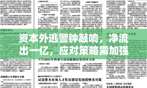 資本外逃警鐘敲響，凈流出一億，應(yīng)對策略需加強(qiáng)