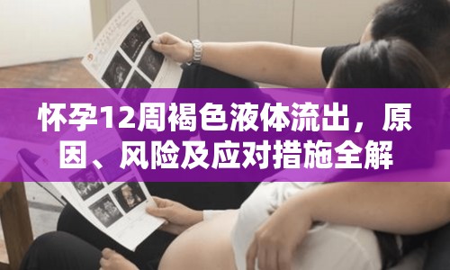 懷孕12周褐色液體流出，原因、風(fēng)險及應(yīng)對措施全解析