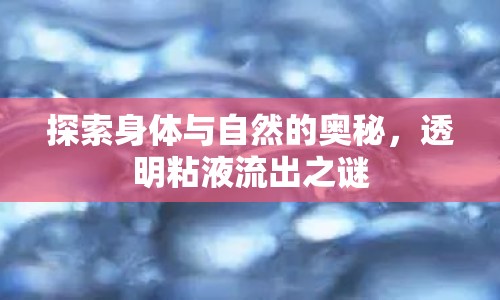 探索身體與自然的奧秘，透明粘液流出之謎