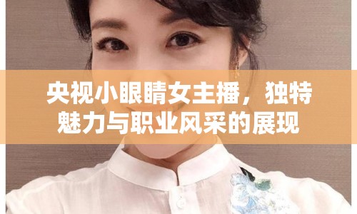 央視小眼睛女主播，獨(dú)特魅力與職業(yè)風(fēng)采的展現(xiàn)