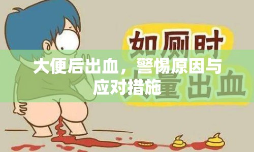 大便后出血，警惕原因與應(yīng)對措施