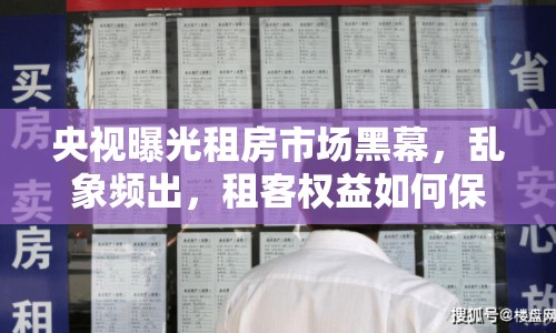 央視曝光租房市場黑幕，亂象頻出，租客權益如何保障？