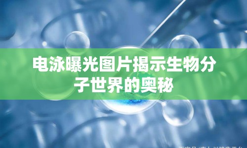 電泳曝光圖片揭示生物分子世界的奧秘