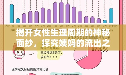 揭開女性生理周期的神秘面紗，探究姨媽的流出之謎
