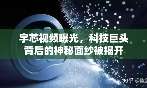 宇芯視頻曝光，科技巨頭背后的神秘面紗被揭開