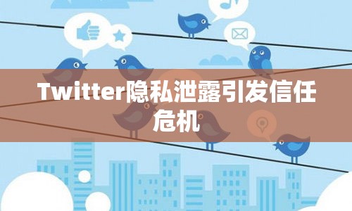 Twitter隱私泄露引發(fā)信任危機