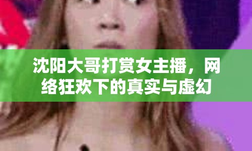 沈陽(yáng)大哥打賞女主播，網(wǎng)絡(luò)狂歡下的真實(shí)與虛幻