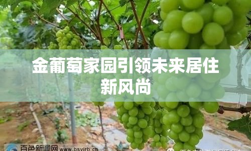 金葡萄家園引領(lǐng)未來居住新風尚