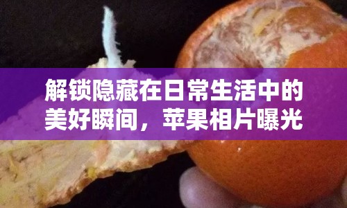 解鎖隱藏在日常生活中的美好瞬間，蘋果相片曝光