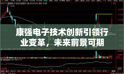 康強(qiáng)電子技術(shù)創(chuàng)新引領(lǐng)行業(yè)變革，未來前景可期