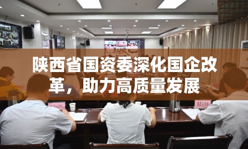 陜西省國資委深化國企改革，助力高質(zhì)量發(fā)展