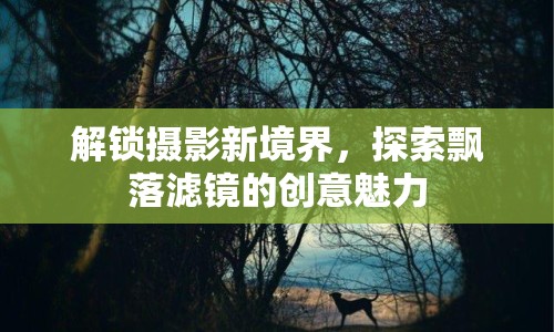 解鎖攝影新境界，探索飄落濾鏡的創(chuàng)意魅力
