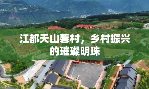 江都天山馨村，鄉(xiāng)村振興的璀璨明珠