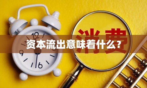 資本流出意味著什么？