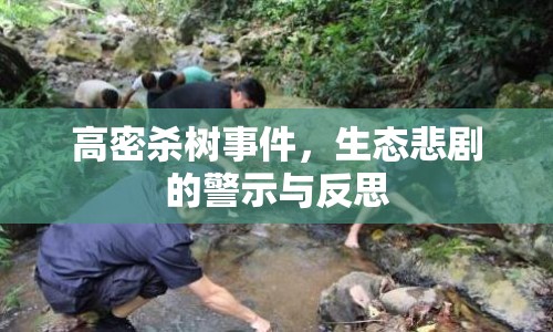 高密殺樹事件，生態(tài)悲劇的警示與反思