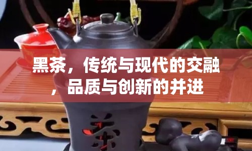 黑茶，傳統(tǒng)與現(xiàn)代的交融，品質(zhì)與創(chuàng)新的并進(jìn)