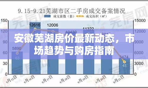 安徽蕪湖房價(jià)最新動(dòng)態(tài)，市場趨勢與購房指南
