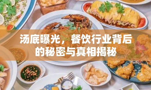湯底曝光，餐飲行業(yè)背后的秘密與真相揭秘