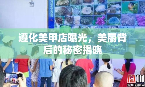 遵化美甲店曝光，美麗背后的秘密揭曉