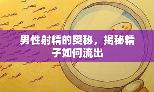 男性射精的奧秘，揭秘精子如何流出