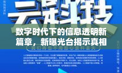 數(shù)字時代下的信息透明新篇章，新曝光臺揭示真相