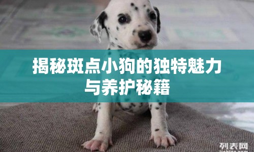 揭秘斑點小狗的獨特魅力與養(yǎng)護秘籍