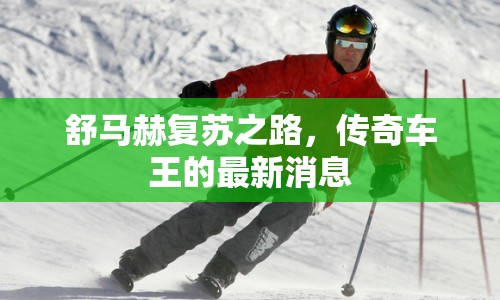 舒馬赫復(fù)蘇之路，傳奇車王的最新消息