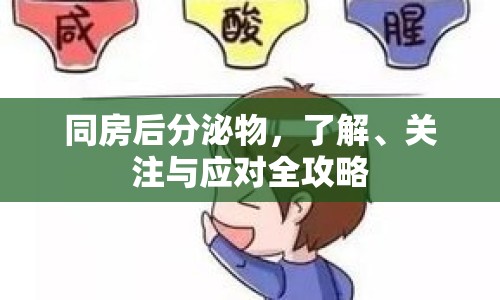 同房后分泌物，了解、關(guān)注與應(yīng)對(duì)全攻略