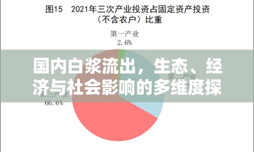 國內(nèi)白漿流出，生態(tài)、經(jīng)濟(jì)與社會影響的多維度探討