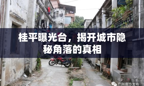 桂平曝光臺(tái)，揭開(kāi)城市隱秘角落的真相