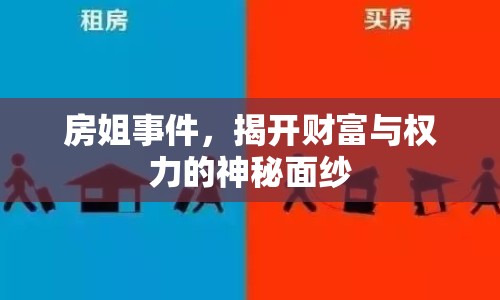 房姐事件，揭開財(cái)富與權(quán)力的神秘面紗