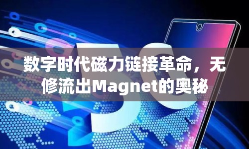 數(shù)字時(shí)代磁力鏈接革命，無修流出Magnet的奧秘