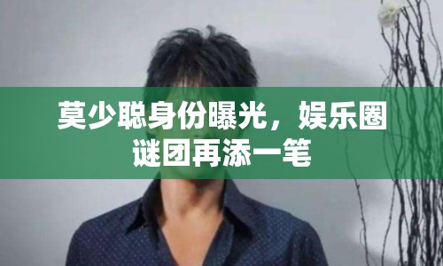 莫少聰身份曝光，娛樂圈謎團(tuán)再添一筆