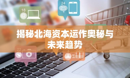 揭秘北海資本運(yùn)作奧秘與未來(lái)趨勢(shì)
