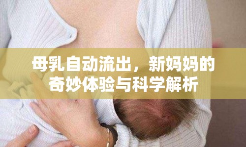 母乳自動流出，新媽媽的奇妙體驗與科學(xué)解析