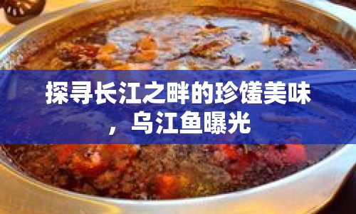 探尋長江之畔的珍饈美味，烏江魚曝光
