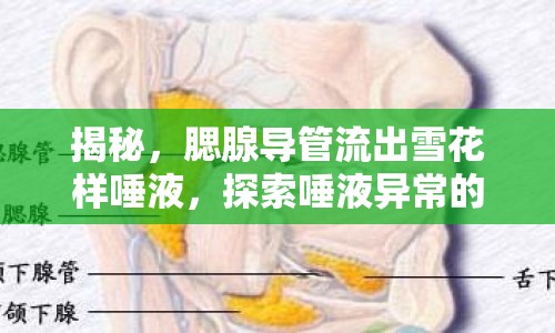 揭秘，腮腺導(dǎo)管流出雪花樣唾液，探索唾液異常的奇妙世界