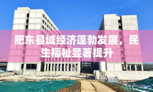肥東縣域經(jīng)濟蓬勃發(fā)展，民生福祉顯著提升
